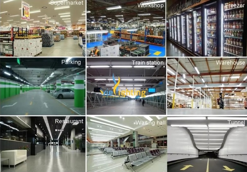 Đèn LED chống cháy nổ 18W VICN5-18