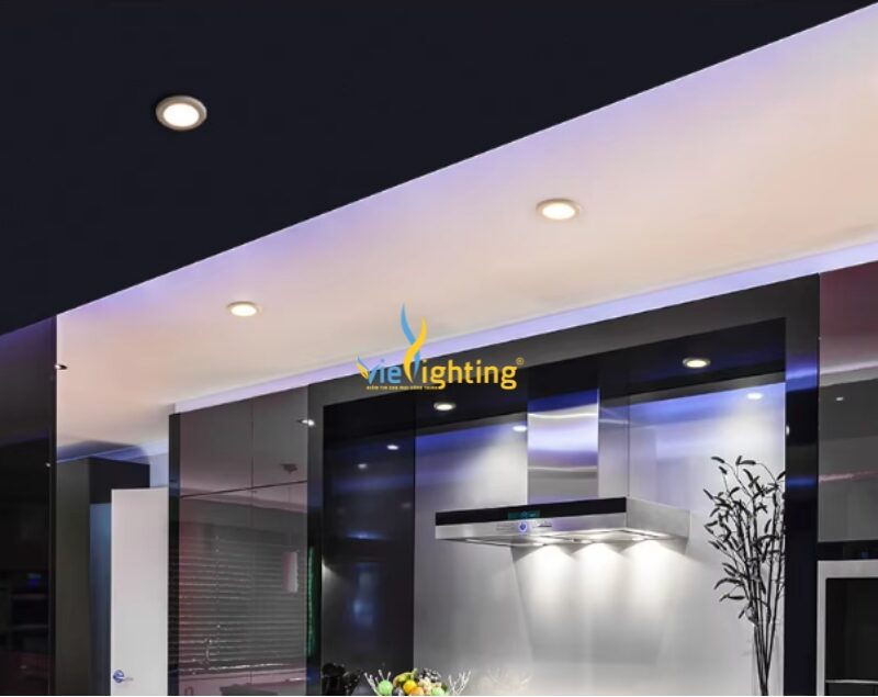 Đèn âm trần spot 30W VI-DZ02-30
