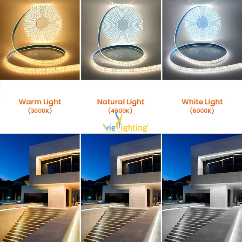 Đèn LED dây 14.4W VILD5050-14.4