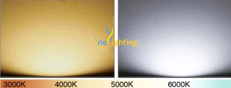 Đèn LED chống cháy nổ 100W VICN4-100