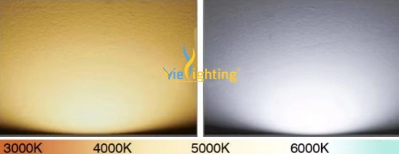 Đèn LED chống cháy nổ 250W VICN4