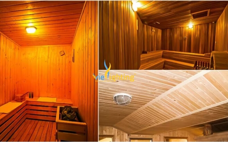 Đèn LED chống cháy nổ đui E27 VICN6