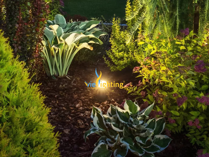 Đèn sân vườn ngoài trời: Kinh nghiệm chọn mua và cách bố trí chuẩn