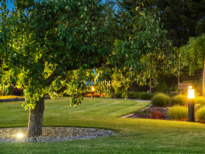 Đèn cây sân vườn đẹp chống nước: Gợi ý 20+ lựa chọn và bố trí hiệu quả