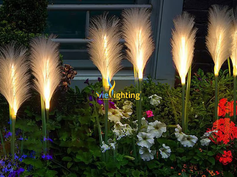 Đèn cỏ lau ấn tượng, lung linh