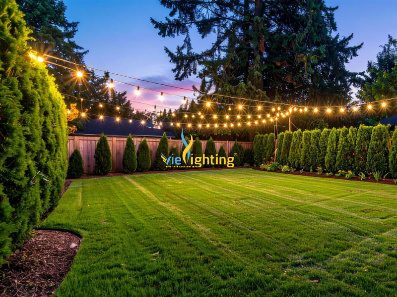 Đèn dây trang trí sân vườn – 7 đèn dây trang trí sân vườn đẹp, bền, chống nước tốt