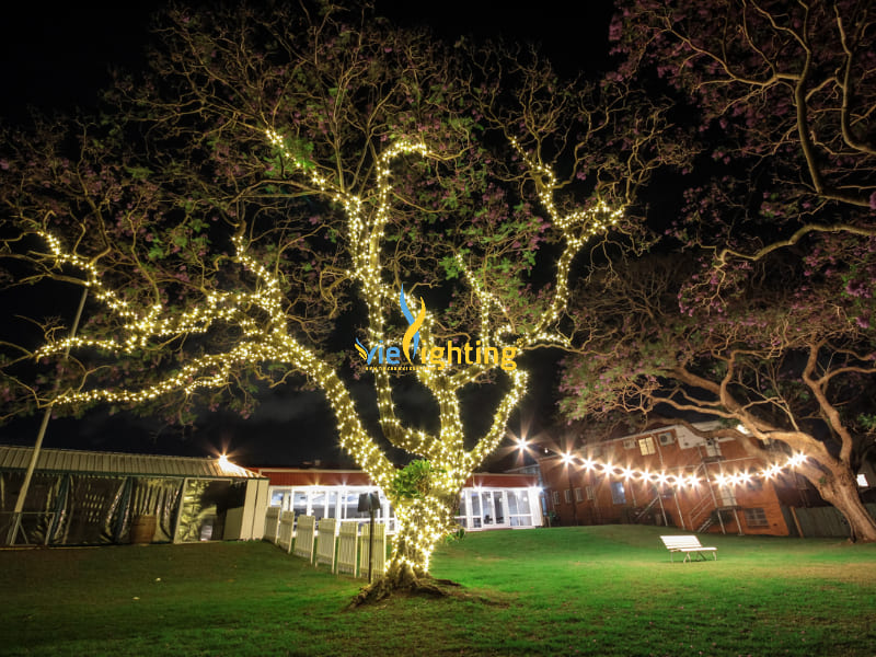 Đèn dây treo cây sân vườn
