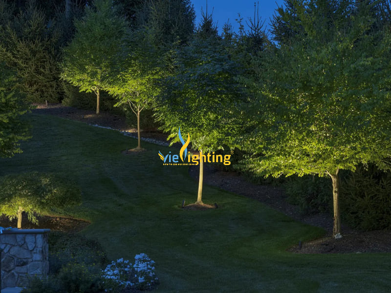 Đèn rọi chiếu cây cao góc hẹp