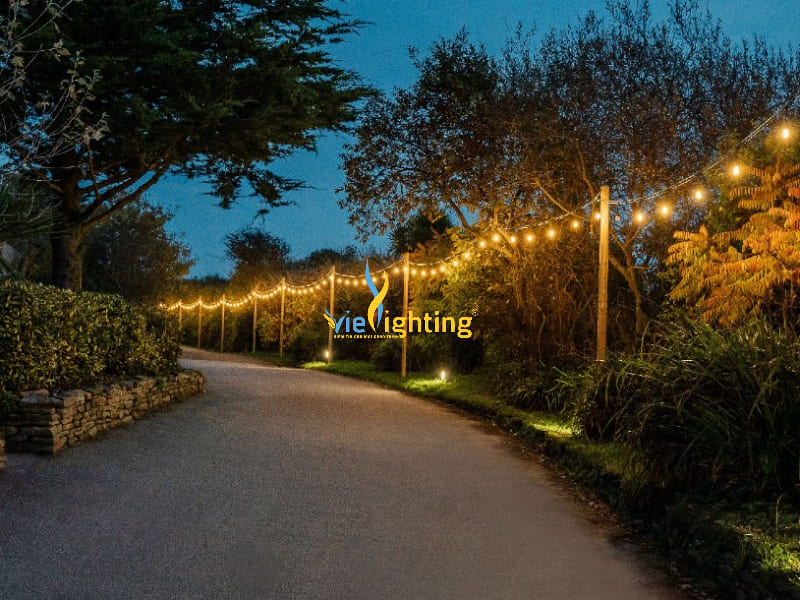 Đèn LED dây sân vườn